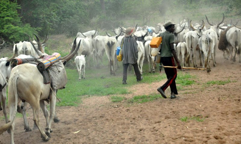 Plateau Unrest: Group warns of possible renewed farmers/herders clash