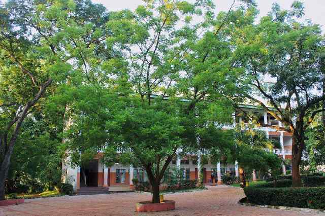 Enugu state Chamber of commerce to generate business data