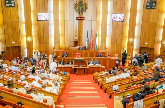 Senate condemns telecoms poor service delivery