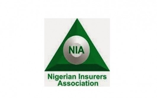 Nigerian Insurers Association appoints new Director -General