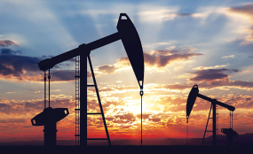 Nigerian Govt Suspends Crude Oil Exploration in Chad Basin