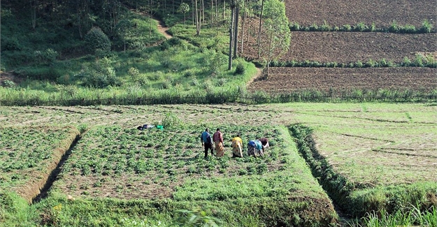 AfDB to invest $24 billion in agriculture in Africa – Adesina