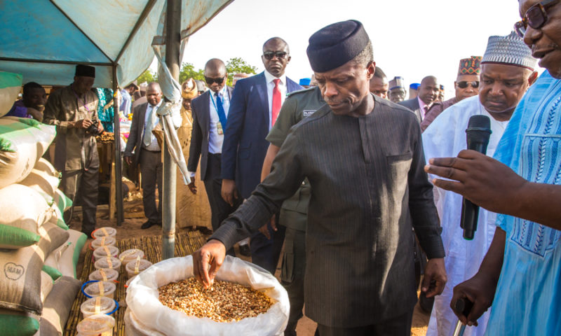 Acting President Yemi Osinbajo visit to Kebbi State, 1st August 2017.