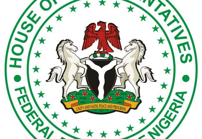 Reps consider government’s external borrowing request