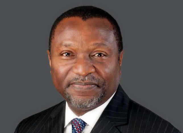 We’re already moving out of recession — Udoma