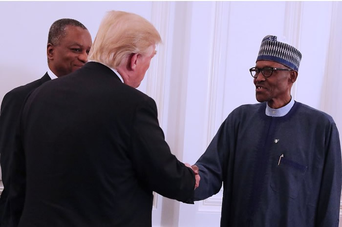 PHOTOS: Buhari meets Trump during luncheon