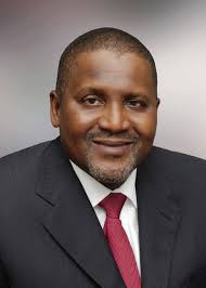 Dangote may bid for South Africa’s cement maker