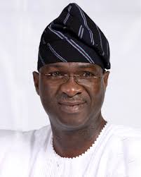 Fashola asks Immigration to probe Egbin Power boss