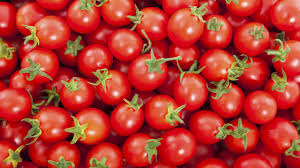 Erisco, Asian firms plan tomato factory in Katsina