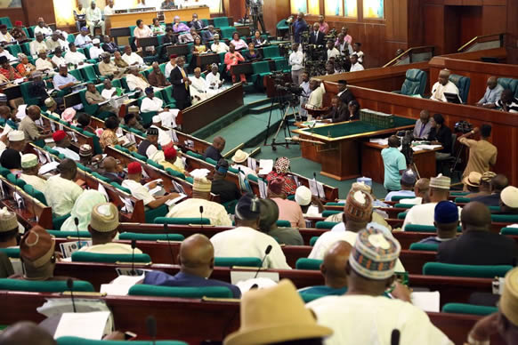 2017 budget: Reps raise concerns over 15% capital releases