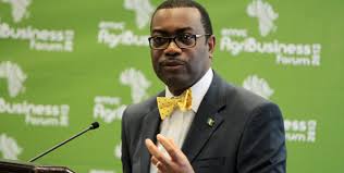 AfDB to invest $12bn in Africa’s power sector