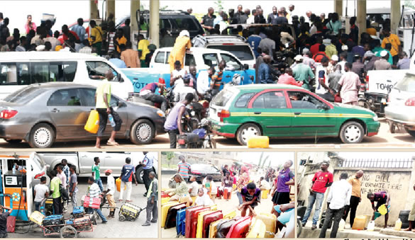 Interest rate cut drags as fuel scarcity lingers –Report