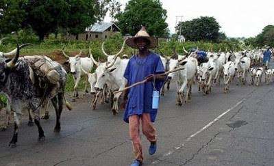 Relocate to Kano, Gov Ganduje tells herdsmen