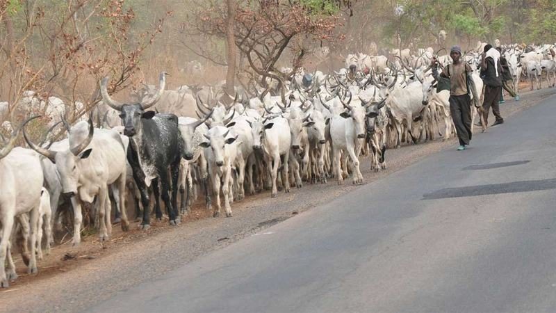 ‘Herdsmen attacks, destruction of farmlands worsen food insecurity’