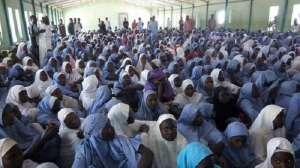 Release of Dapchi schoolgirls reassuring – ACF