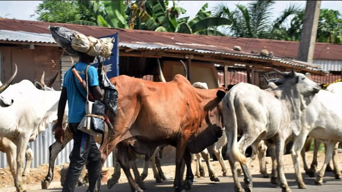 Herdsmen, Fulani Farmers’ Clash in Bauchi Claims 10 Lives