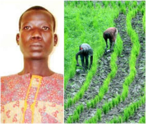 I killed farm thief after several warnings –Suspect