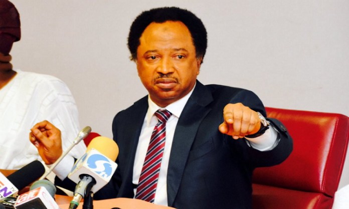 Shehu Sani vows to contest against El-Rufai in 2019