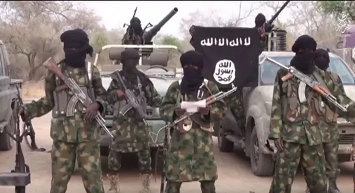 Boko Haram Kills 11, Abducts Nine Women in Borno