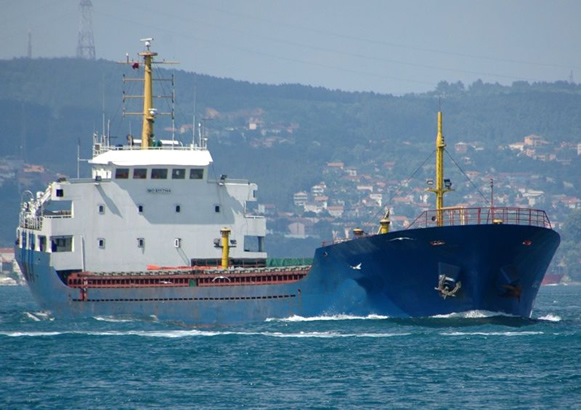 Vessel financing fund hits $300m, say ship owners