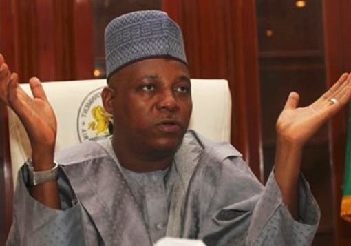 Direct primaries desirable but not practicable in Borno–Shettima