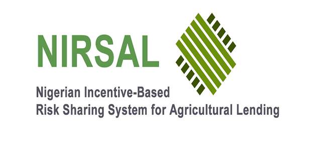 $8.9b lost annually to post-harvest wastage, says NIRSAL