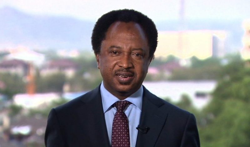 Sen. Shehu Sani dumps APC, joins PRP