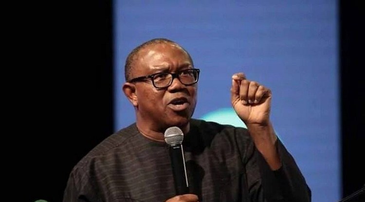 Nigeria will collapse under Buhari if re-elected – Peter Obi