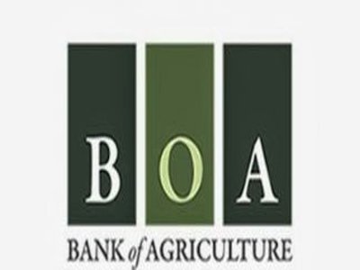 Fed Govt to divest 60% stake in BoA