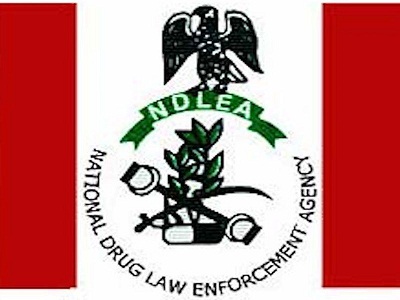 NDLEA arrests 818, seize 452.4kg of Cannabis in Katsina