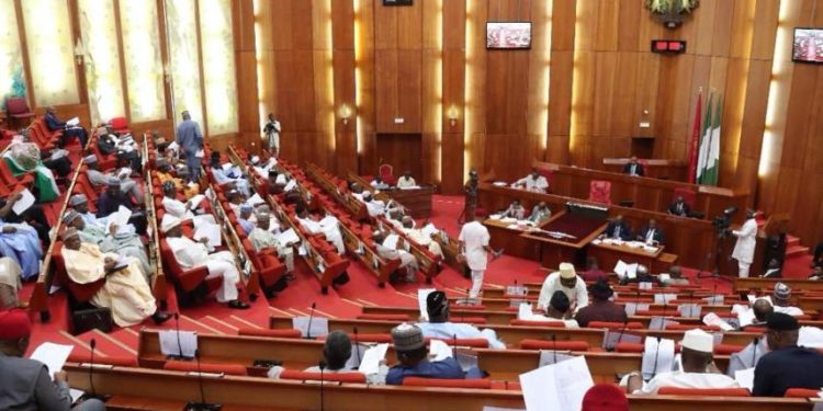 Nigerian Senate Backs Community Policing As It Seeks Decentralisation of Police