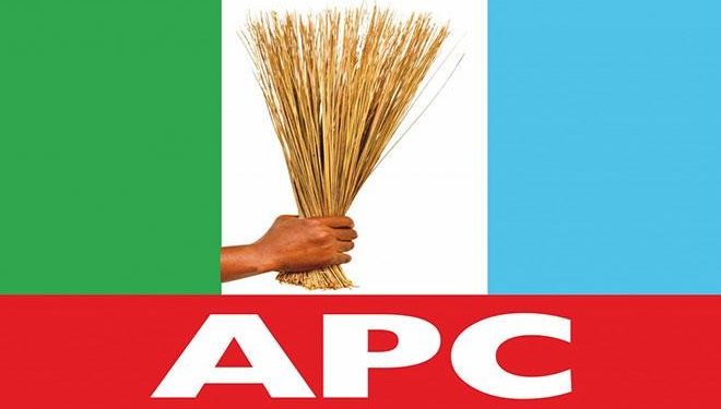 APC sweeps Kebbi LG poll