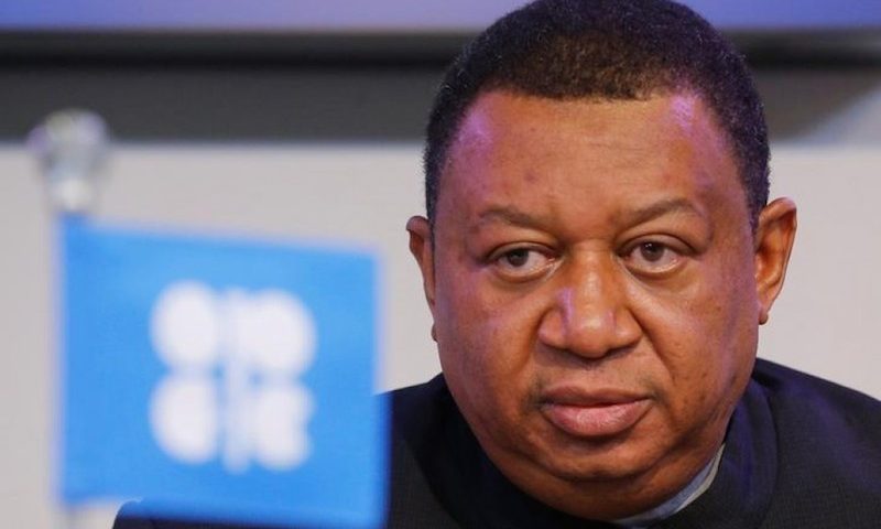 Barkindo: Divestments from Oil Sector will Not End Carbon Emissions