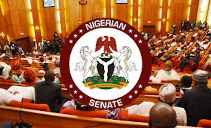 Senators Clash over 2021 Budget Proposals