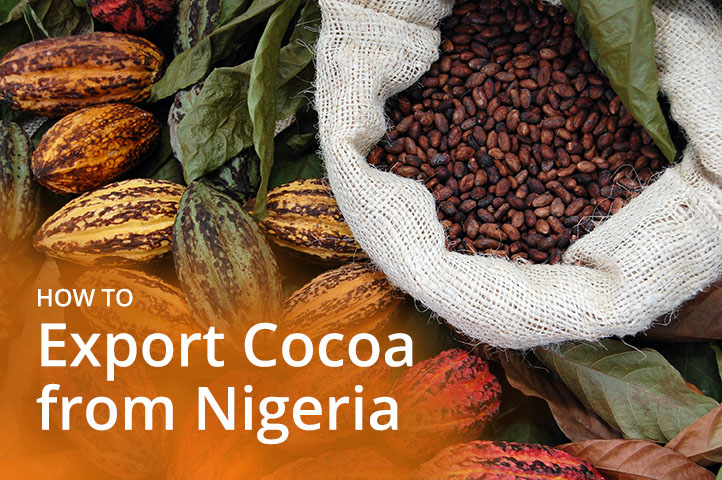 Cocoa exporters frustrated by CBN declaration policy