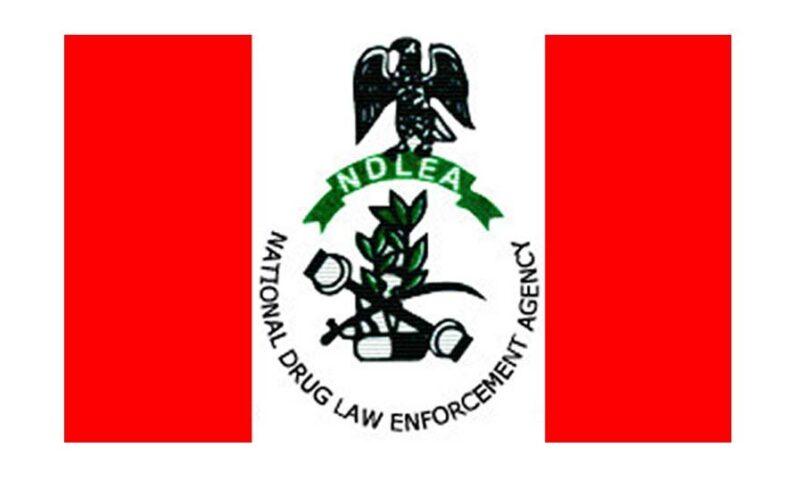 NDLEA seizes N80m worth of drugs, arrests 134 suspects