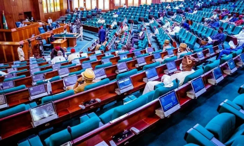 FG, Reps begin probe of cancellation of  264 Nigerians’ visas  by Saudi Arabia