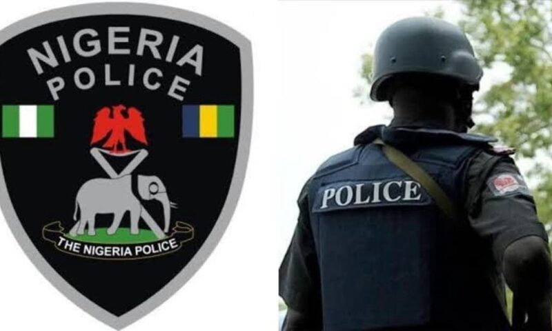 Appeal Court judgement: Police uncover plots to stage violent protests in Kano