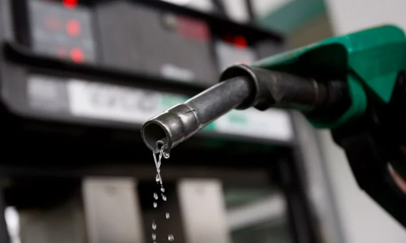 Fuel price: NLC, PDP, LP issue stern warning as World Bank recommends N750/litre