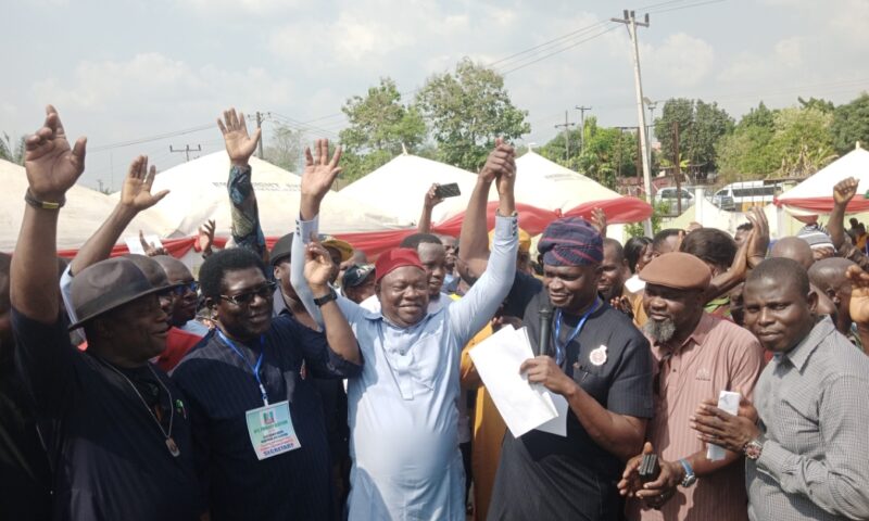 Bye-election: University don, Ani emerges APC senatorial candidate for Ebonyi South