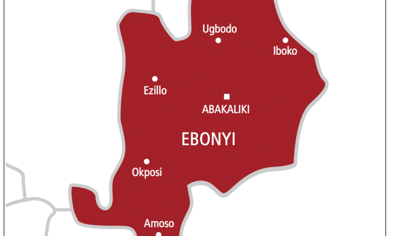 Ebonyi south senatorial bye-election shouldn’t be do or die- LG Chair, Chima