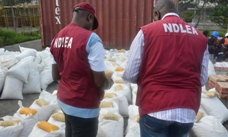 NDLEA intercepts large consignment of illicit drugs in Ondo, Edo, FCT