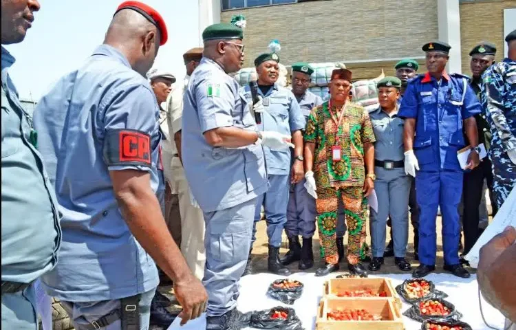 Customs intercepts 940 bullets, Indian hemps, others in Ogun