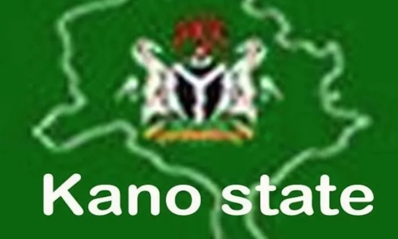 Kano govt debunks measles outbreak