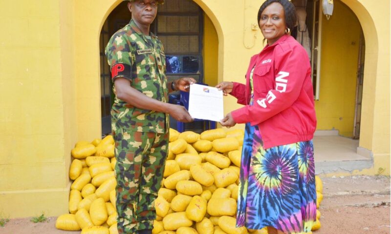 Army hands over seized 223kg cannabis to Ogun NDLEA