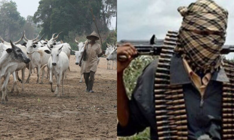 BREAKING: Many feared dead, others injured as herdsmen attack Enugu community