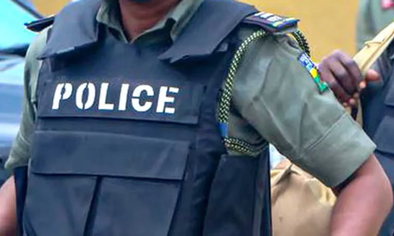 Police arrest wanted criminal in Jigawa