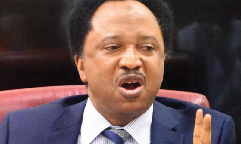 El-Rufai: I warned like a prophet – Shehu Sani on $350m Kaduna loan