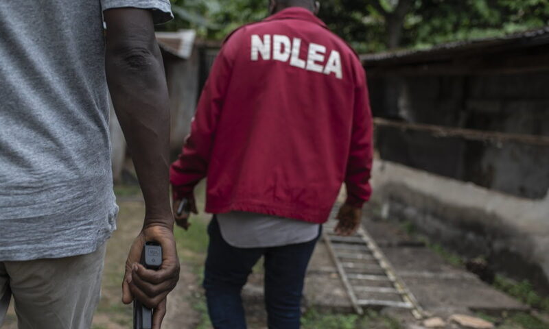 NDLEA arrests 80 suspects, seizes 3,000kg of drugs in FCT