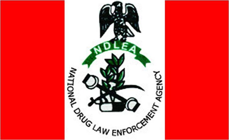 Convicted drug baron laundered N400m using illicit trade –NDLEA official